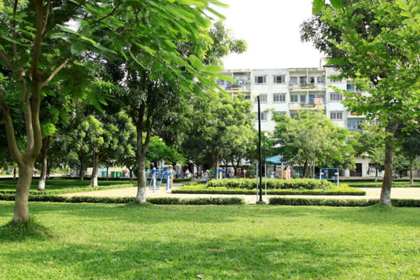 Cây xanh TP Vinh Nghệ An