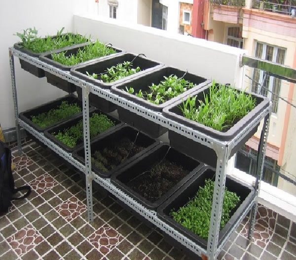 Giá kệ sắt V lỗ trồng cây rau hoa cảnh